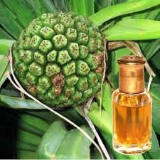 Kewra Fragrance